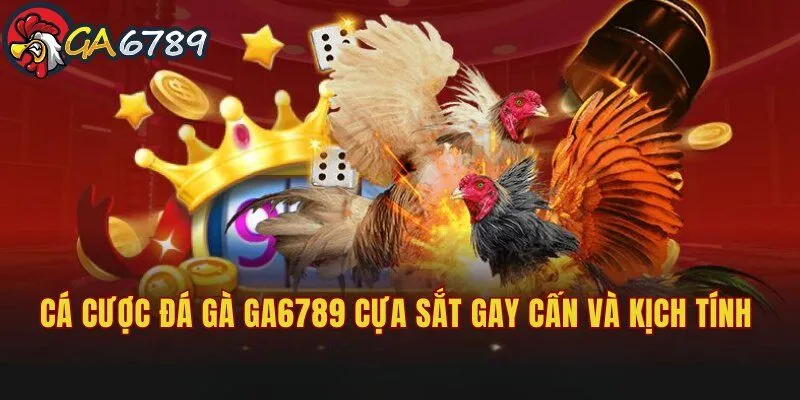 Cá cược đá gà cựa sắt gay cấn và kịch tính tại GA6789 ca-cuoc-da-ga-ga6789-cua-sat