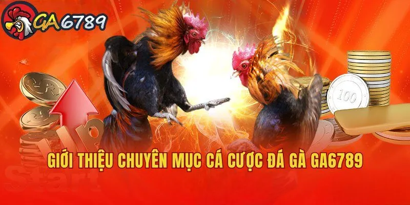Giới thiệu chuyên mục cá cược đá gà GA6789 siêu hấp dẫn ca-cuoc-da-ga-ga6789-gioi-thieu