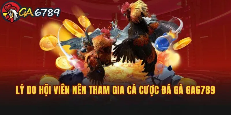 Lý do hội viên nên tham gia bộ môn cá cược đá gà tại GA6789 ca-cuoc-da-ga-ga6789-ly-do-nen-tham-gia