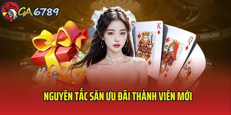 uu-dai-thanh-vien-moi-nguyen-tac-dang-ky